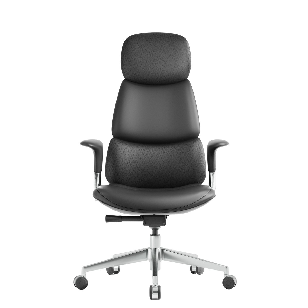 Omidi-Nyla Leather Chair with Easy Adjustment