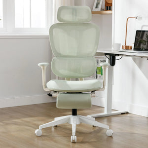 Ergonomic Office Chair Pro 3116 - Honsit Chair