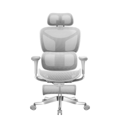 Welax S9 Pro – Premium Ergonomic Office Chair with Superior Comfort