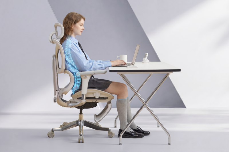 Ergonomic Chairs