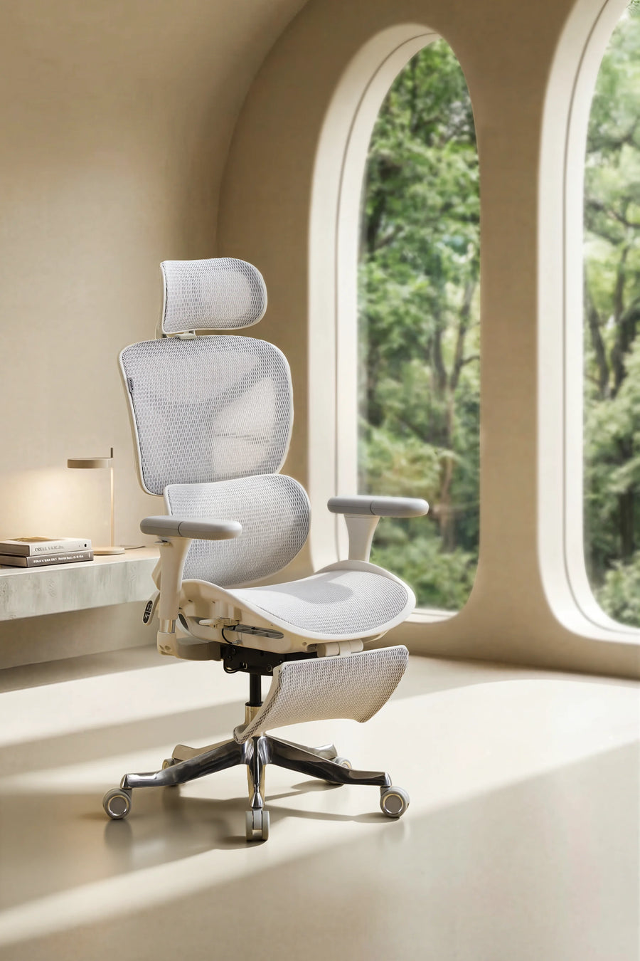 Ergonomic Chairs
