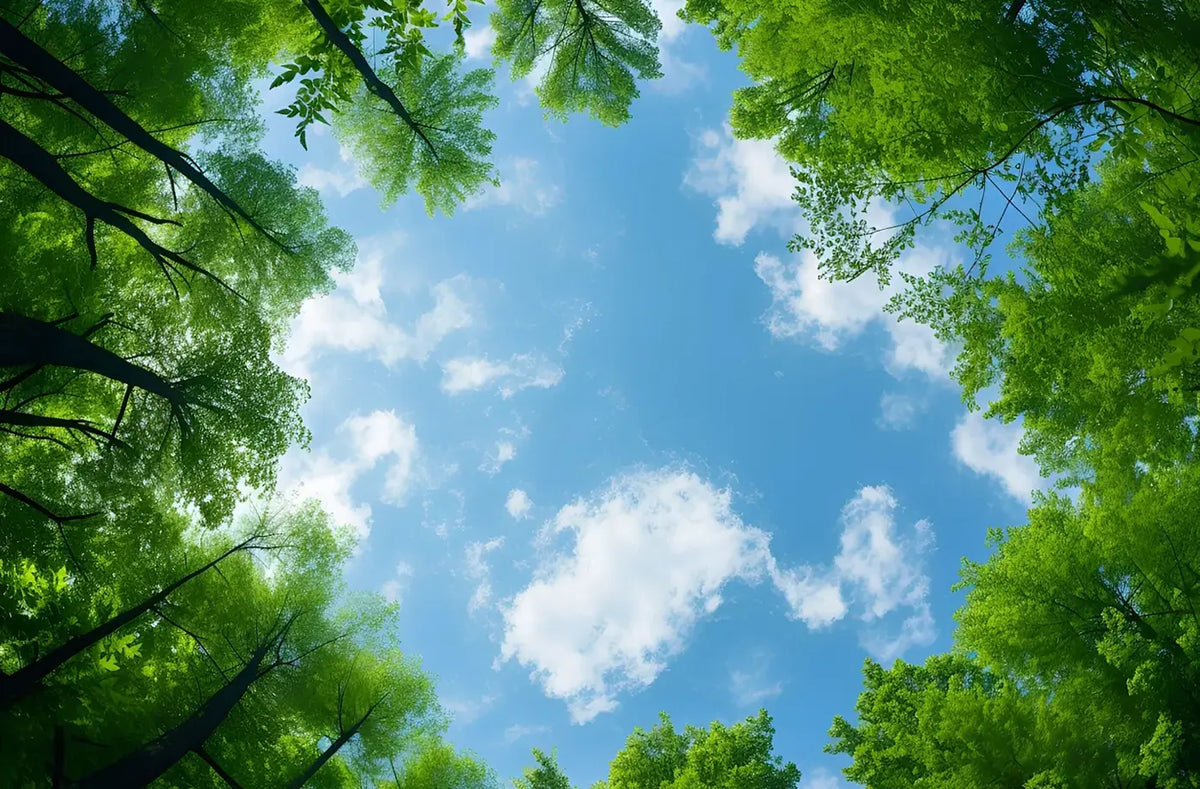 CSR & Sustainability