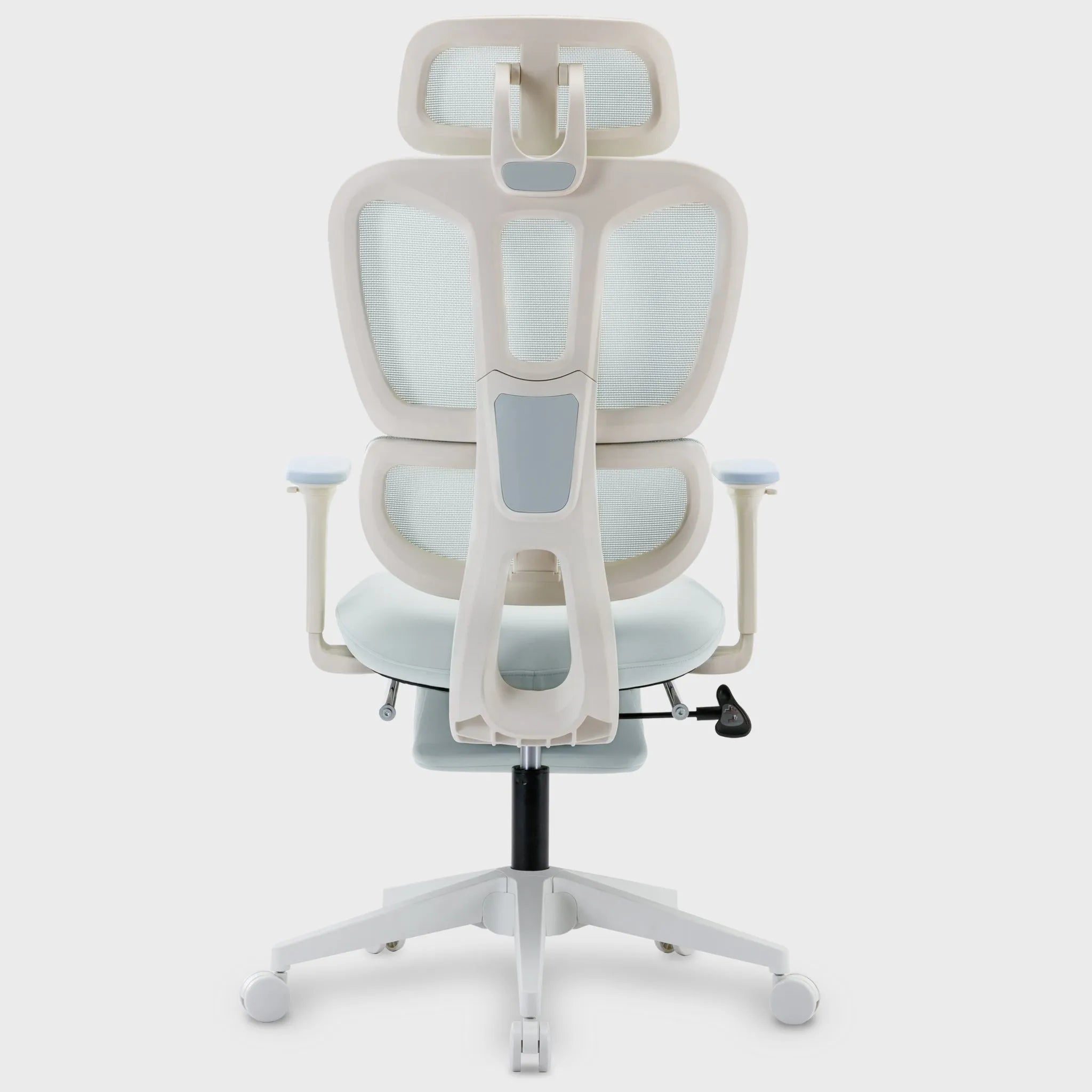 Ergonomic Office Chair C6