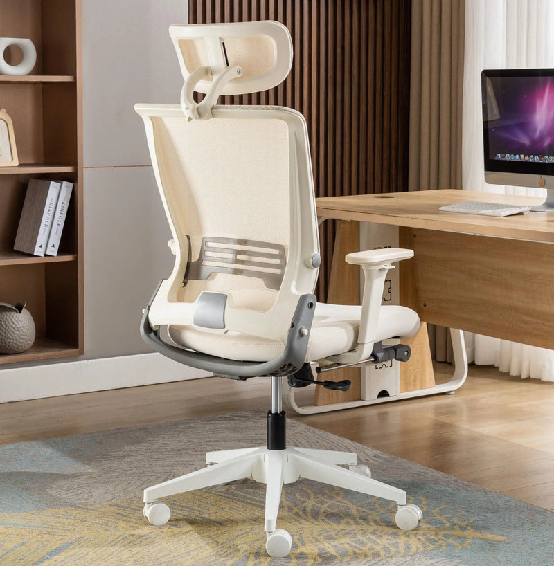 Ergonomic Office Chair Core 3003HBD - Honsit Chair