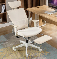 Ergonomic Office Chair Core 3003HBD - Honsit Chair