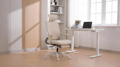 Ergonomic Office Chair Core 3003HBD - Honsit Chair