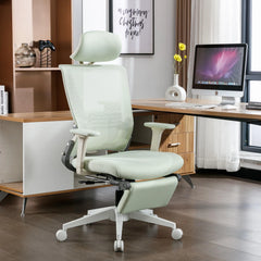 Ergonomic Office Chair Core 3003HBD - Honsit Chair