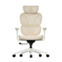 S3 Office Chair with Colorful Lifestyle Design