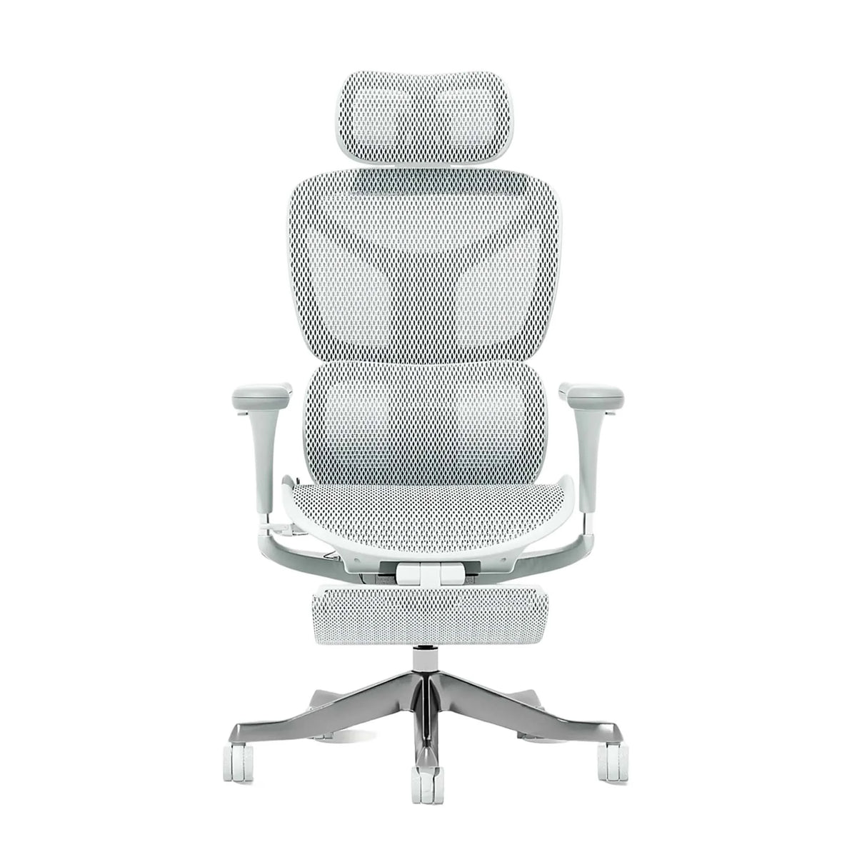 Ergonomic Chairs