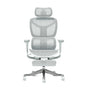 S9 Pro Ergonomic Office Chair with One-Touch Adjustment