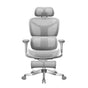 S9 Pro Ergonomic Office Chair with One-Touch Adjustment